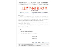 山东省中小企业“隐形冠军”