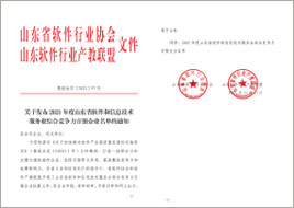 山东省软件和信息技术服务业综合竞争力百强企业
